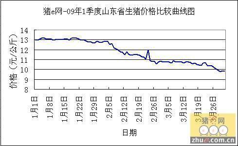 沂水最新猪价行情，市场走势与影响因素深度解析