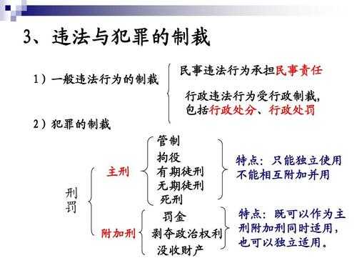 资料解剖（或决策资料）