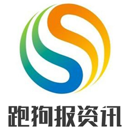 跑狗新版核心解析