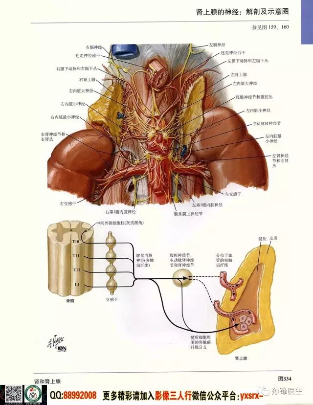 新澳精选资料免费提供开_时代资料解剖落实_尊贵版197.14.74.38