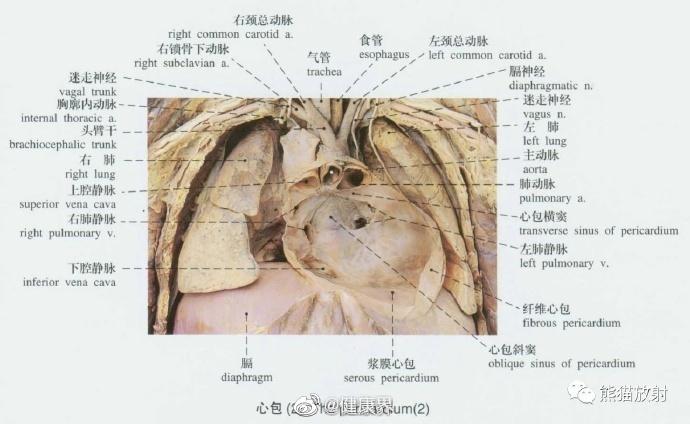 二四六期期更新资料大全_最新核心解剖落实_尊贵版173.10.5.23