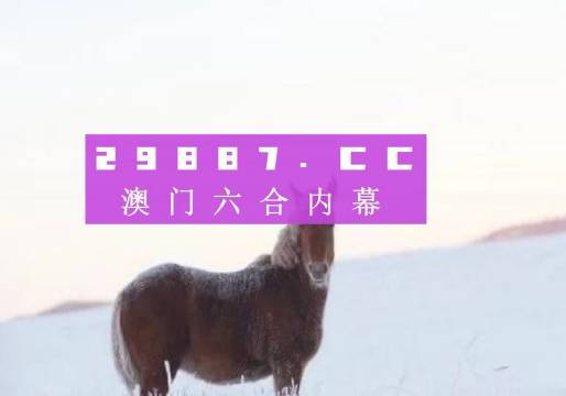 澳门特