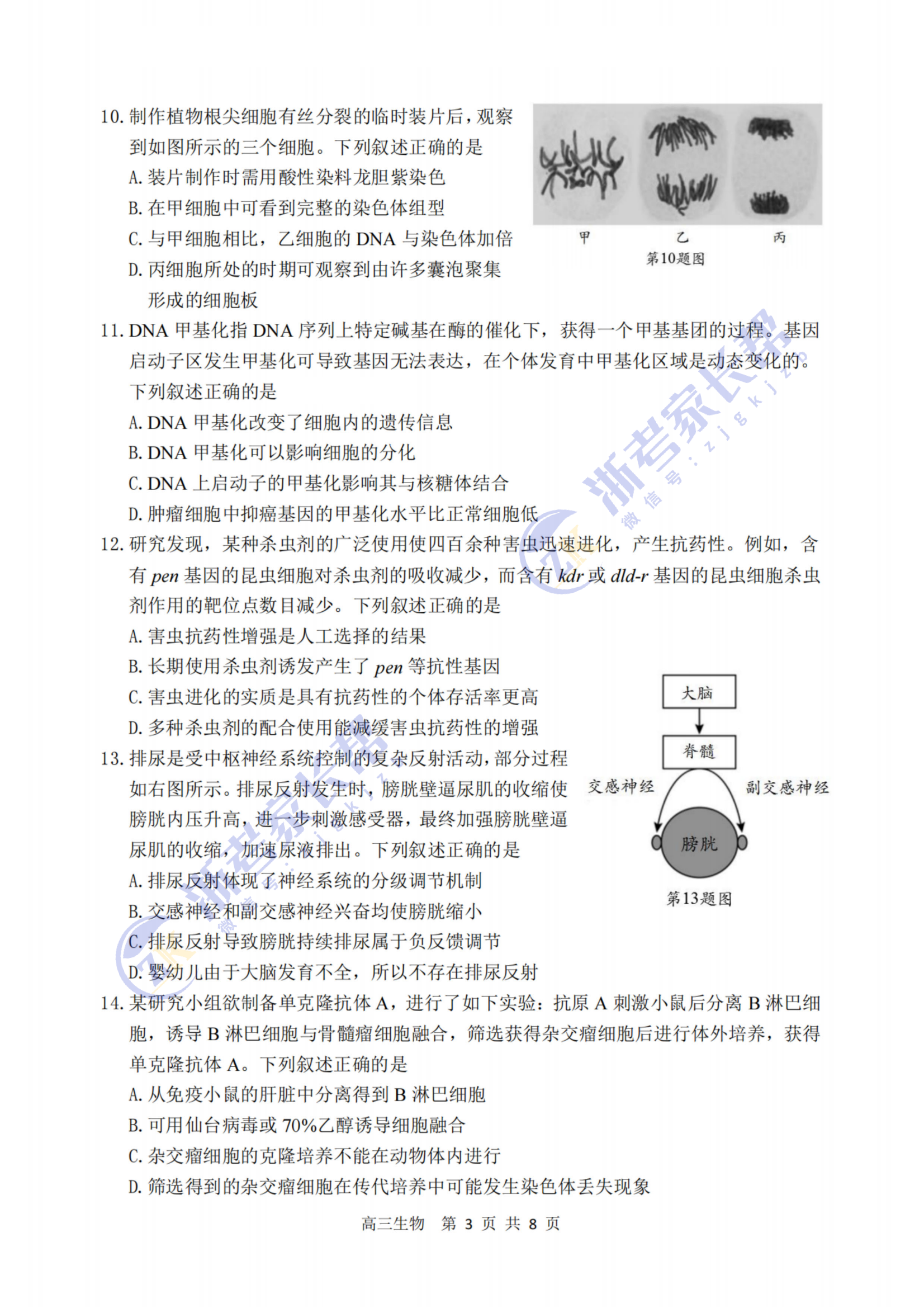 最新答案解答落实