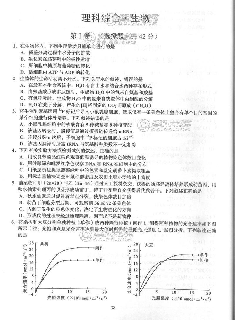 2024新奥